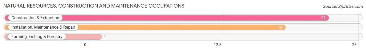 Natural Resources, Construction and Maintenance Occupations in Zip Code 98304