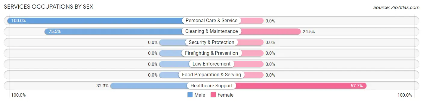 Services Occupations by Sex in Zip Code 98325