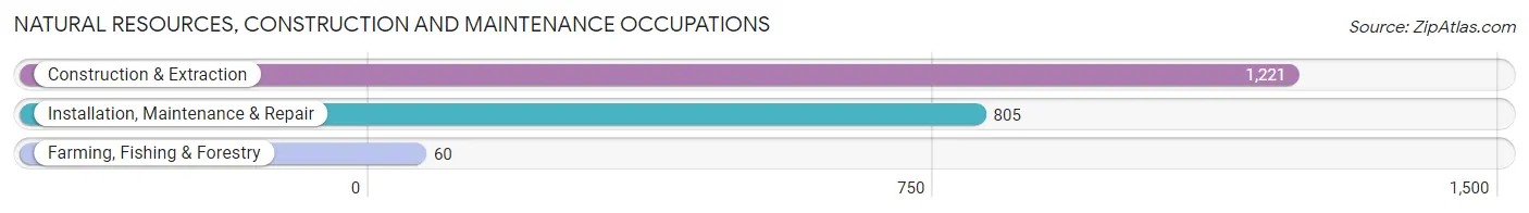 Natural Resources, Construction and Maintenance Occupations in Zip Code 98374