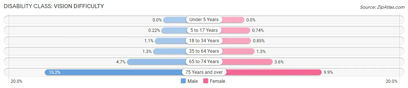 Disability in Zip Code 98374: <span>Vision Difficulty</span>