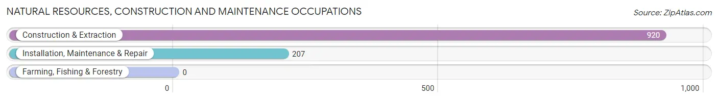 Natural Resources, Construction and Maintenance Occupations in Zip Code 98466