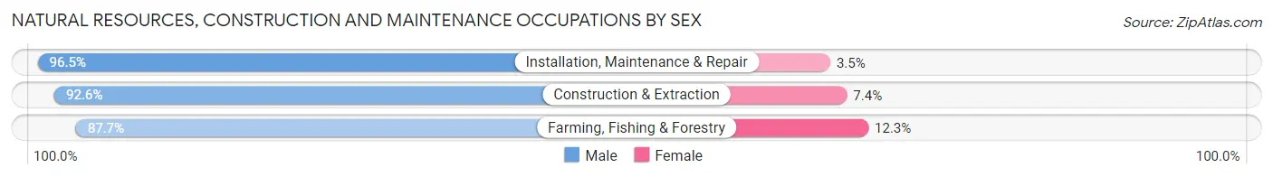Natural Resources, Construction and Maintenance Occupations by Sex in Zip Code 98503
