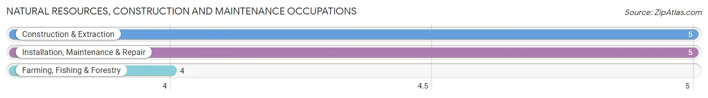 Natural Resources, Construction and Maintenance Occupations in Zip Code 98526