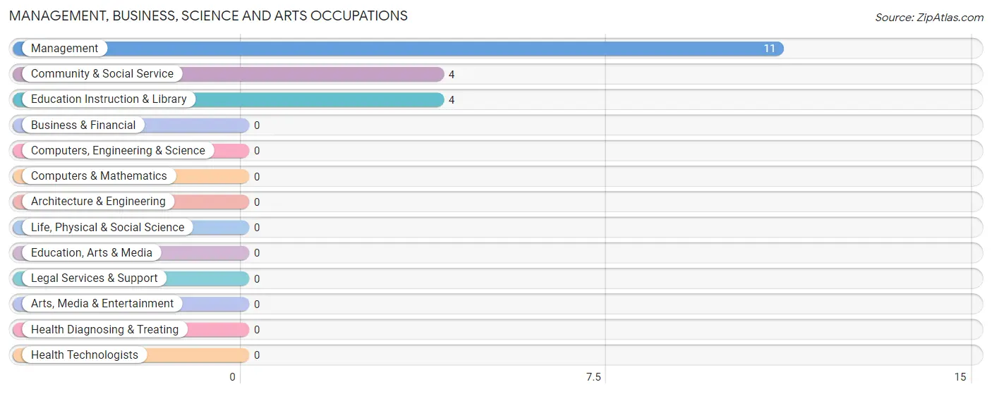 Management, Business, Science and Arts Occupations in Zip Code 98533