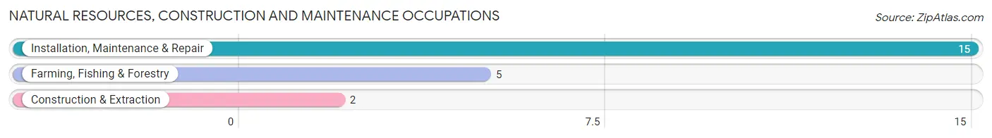 Natural Resources, Construction and Maintenance Occupations in Zip Code 98539