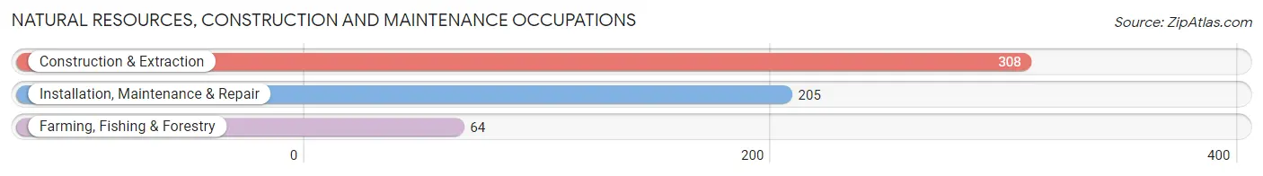 Natural Resources, Construction and Maintenance Occupations in Zip Code 98550