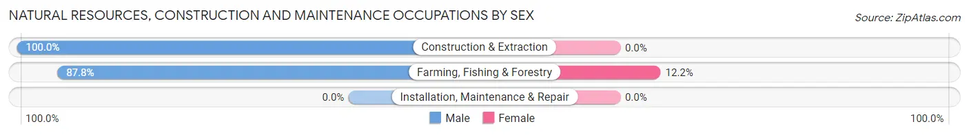 Natural Resources, Construction and Maintenance Occupations by Sex in Zip Code 98564