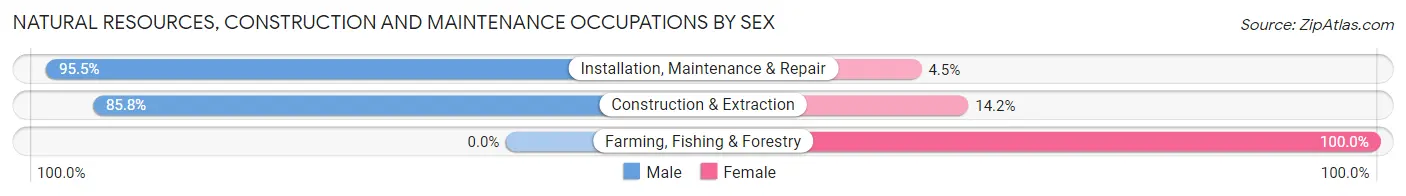 Natural Resources, Construction and Maintenance Occupations by Sex in Zip Code 98580
