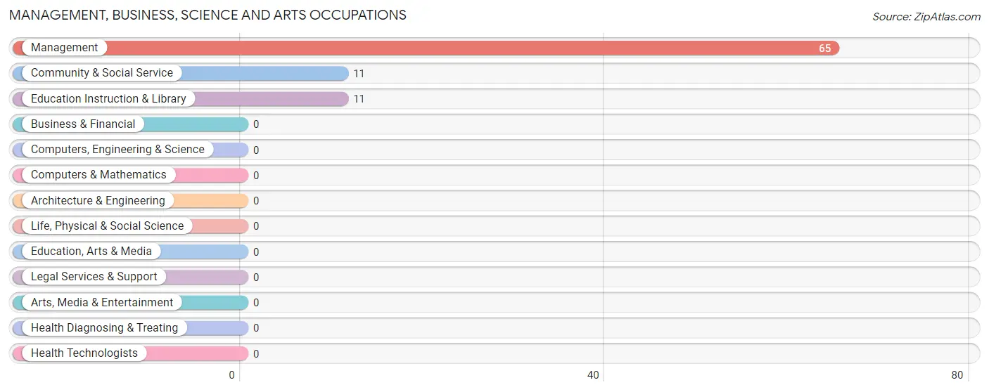 Management, Business, Science and Arts Occupations in Zip Code 98585