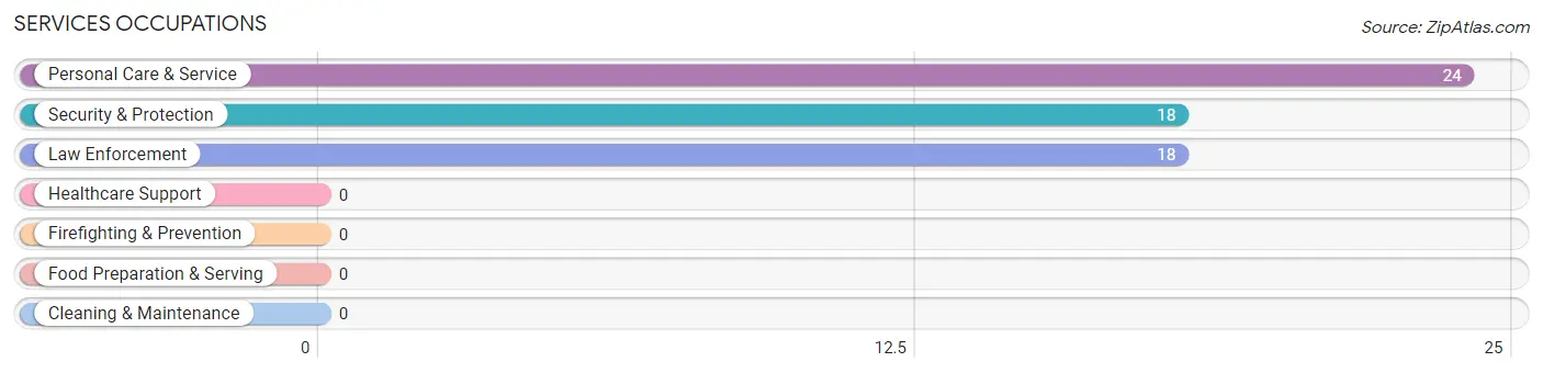 Services Occupations in Zip Code 98592