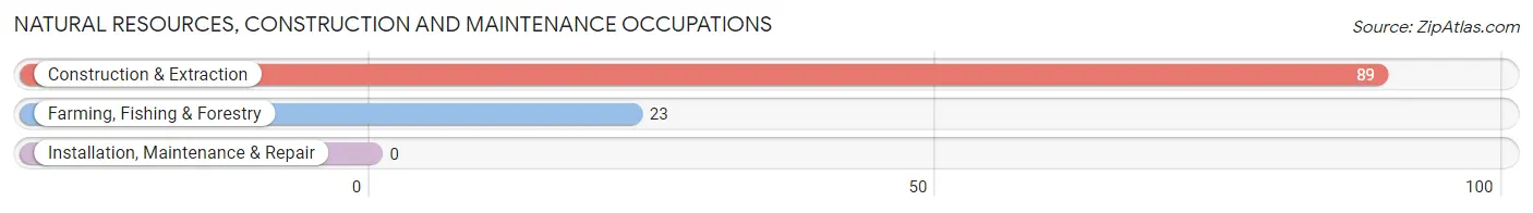 Natural Resources, Construction and Maintenance Occupations in Zip Code 98595