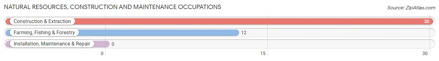 Natural Resources, Construction and Maintenance Occupations in Zip Code 98643