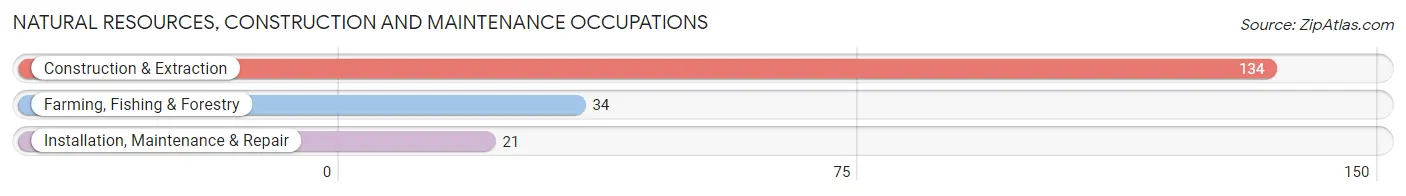 Natural Resources, Construction and Maintenance Occupations in Zip Code 98650