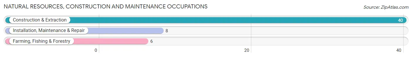 Natural Resources, Construction and Maintenance Occupations in Zip Code 98651