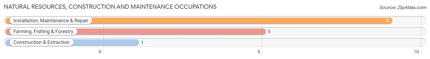 Natural Resources, Construction and Maintenance Occupations in Zip Code 98673