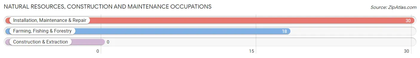 Natural Resources, Construction and Maintenance Occupations in Zip Code 98817