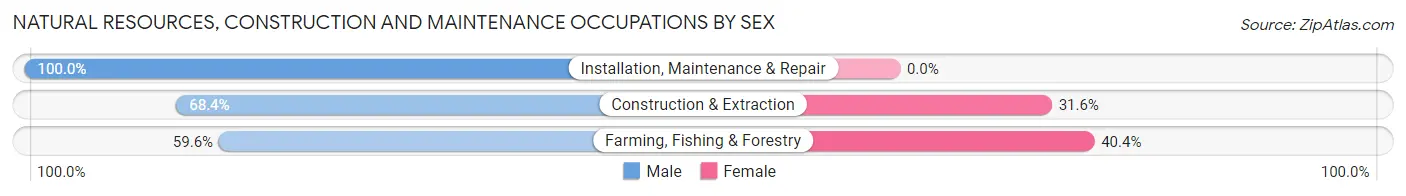 Natural Resources, Construction and Maintenance Occupations by Sex in Zip Code 98828