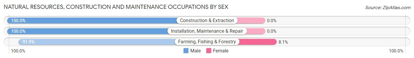 Natural Resources, Construction and Maintenance Occupations by Sex in Zip Code 98855