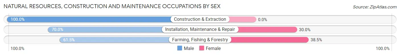 Natural Resources, Construction and Maintenance Occupations by Sex in Zip Code 98862