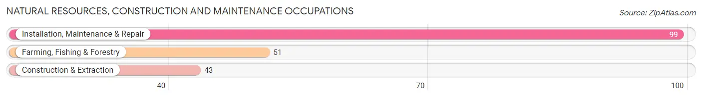 Natural Resources, Construction and Maintenance Occupations in Zip Code 99009