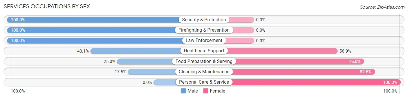 Services Occupations by Sex in Zip Code 99021