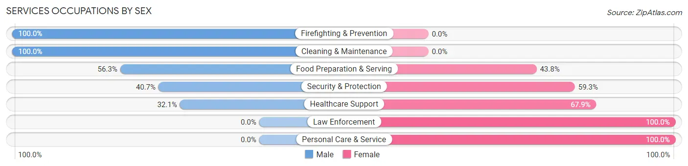 Services Occupations by Sex in Zip Code 99025