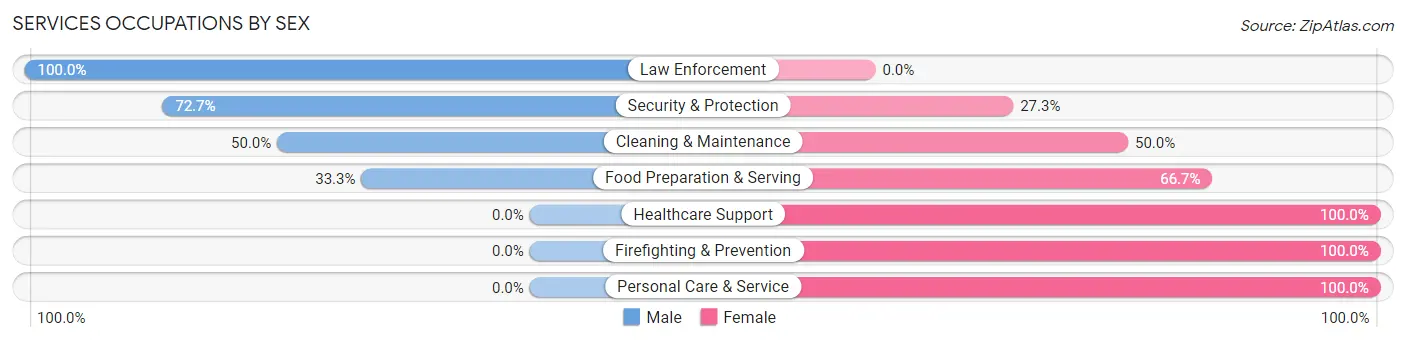 Services Occupations by Sex in Zip Code 99029
