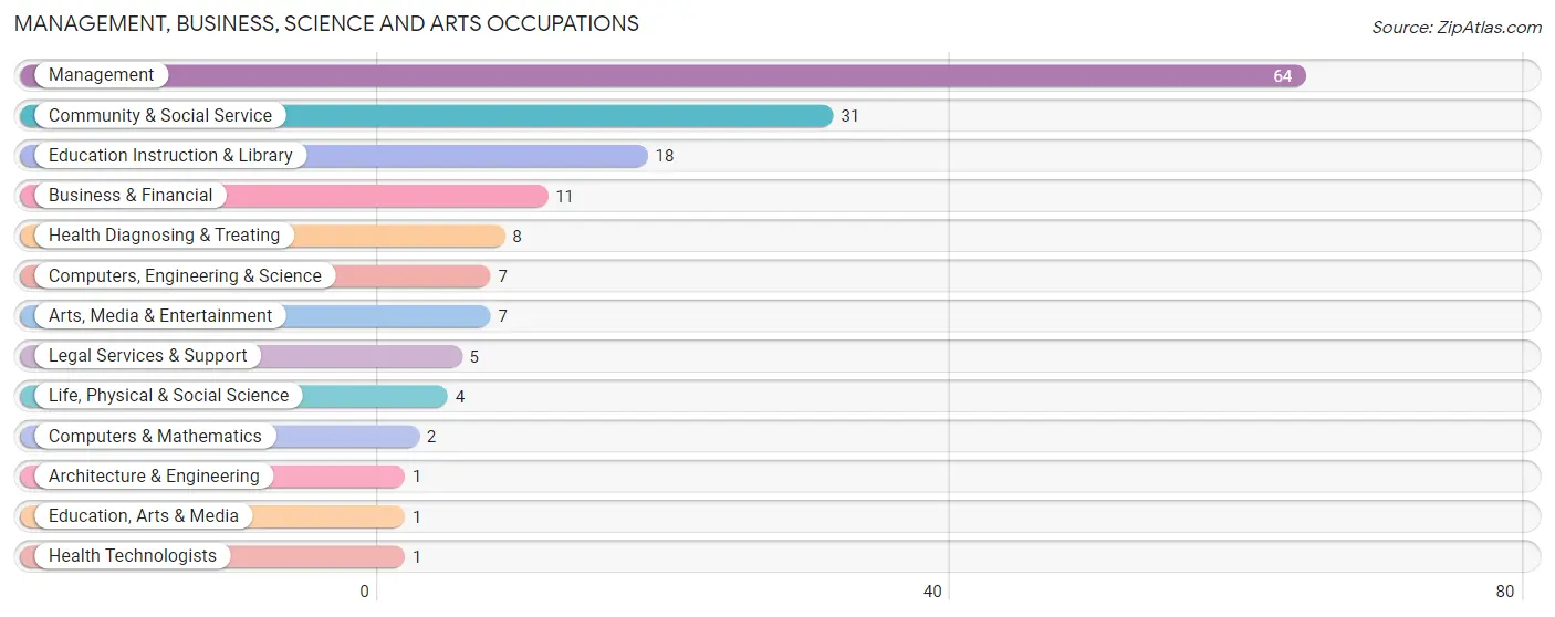 Management, Business, Science and Arts Occupations in Zip Code 99032