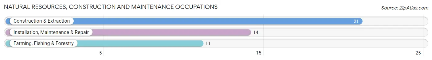 Natural Resources, Construction and Maintenance Occupations in Zip Code 99033