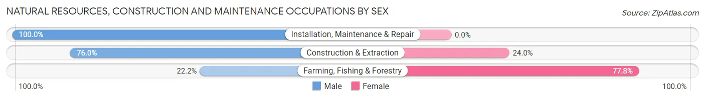 Natural Resources, Construction and Maintenance Occupations by Sex in Zip Code 99036