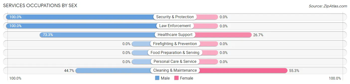 Services Occupations by Sex in Zip Code 99036
