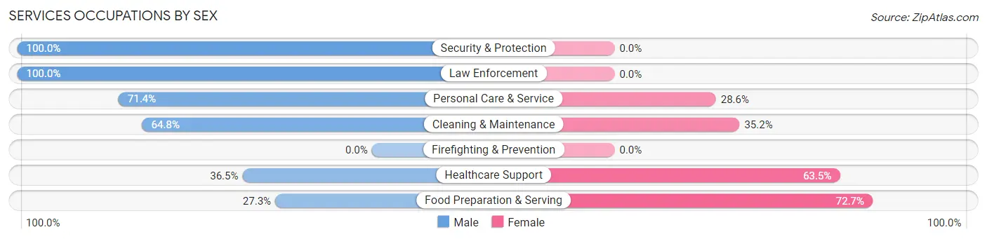 Services Occupations by Sex in Zip Code 99109