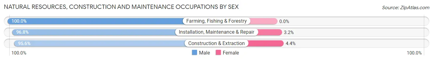 Natural Resources, Construction and Maintenance Occupations by Sex in Zip Code 99114