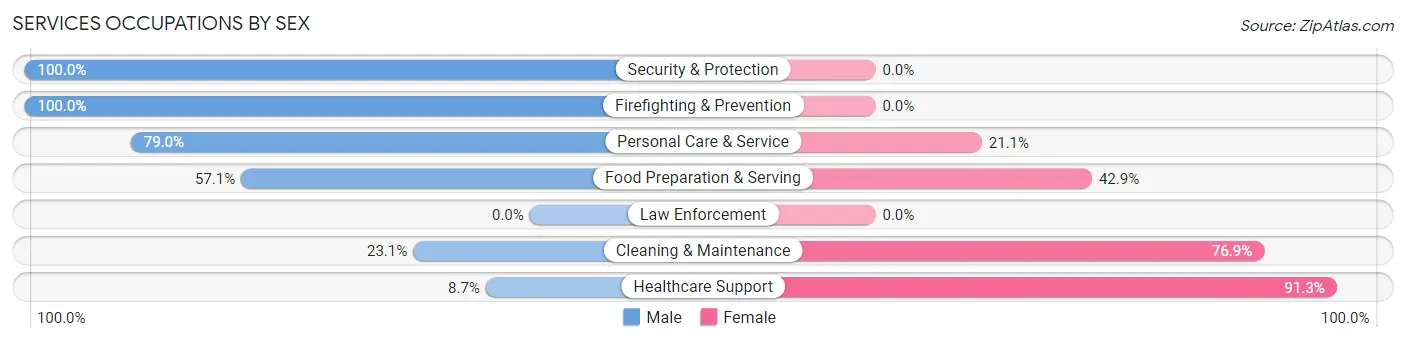 Services Occupations by Sex in Zip Code 99119