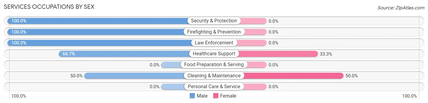 Services Occupations by Sex in Zip Code 99128