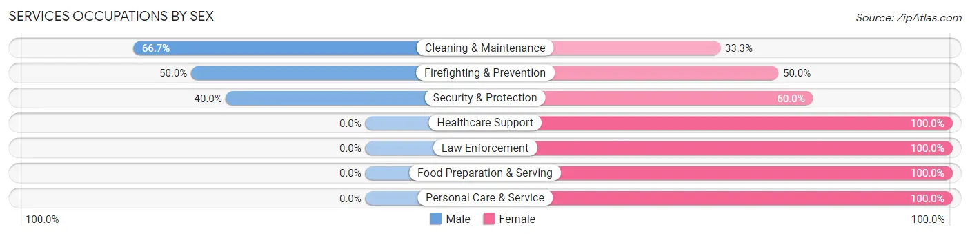 Services Occupations by Sex in Zip Code 99129