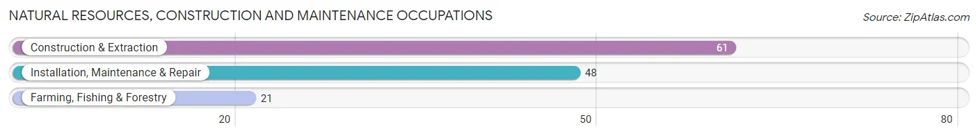 Natural Resources, Construction and Maintenance Occupations in Zip Code 99133