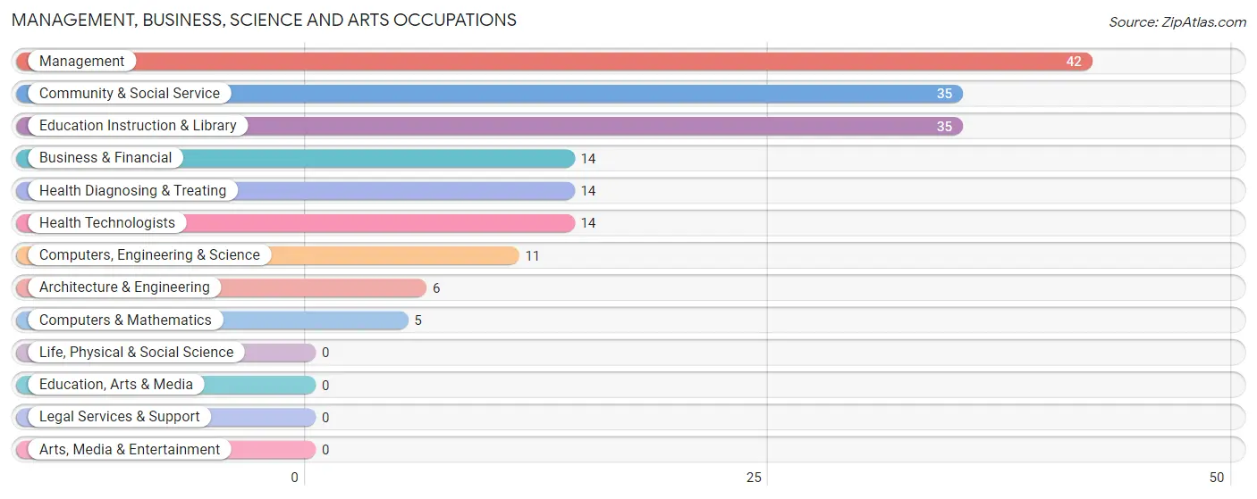 Management, Business, Science and Arts Occupations in Zip Code 99134