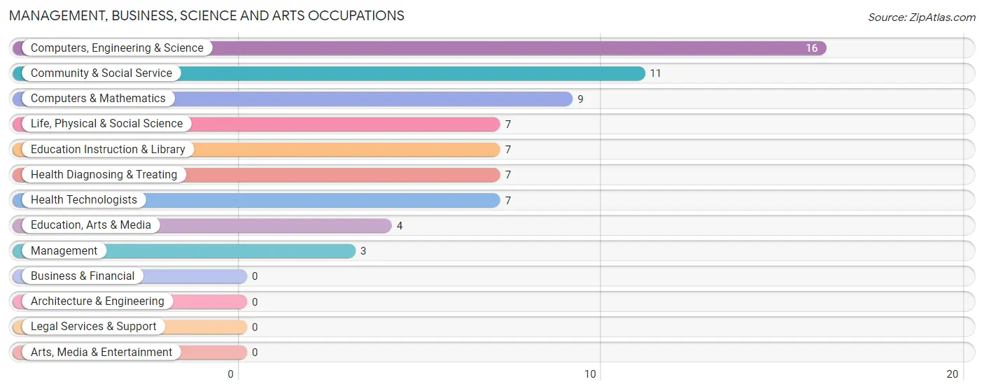 Management, Business, Science and Arts Occupations in Zip Code 99137