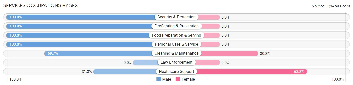 Services Occupations by Sex in Zip Code 99138