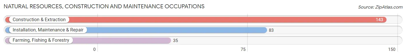 Natural Resources, Construction and Maintenance Occupations in Zip Code 99141