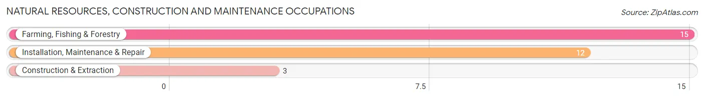 Natural Resources, Construction and Maintenance Occupations in Zip Code 99157