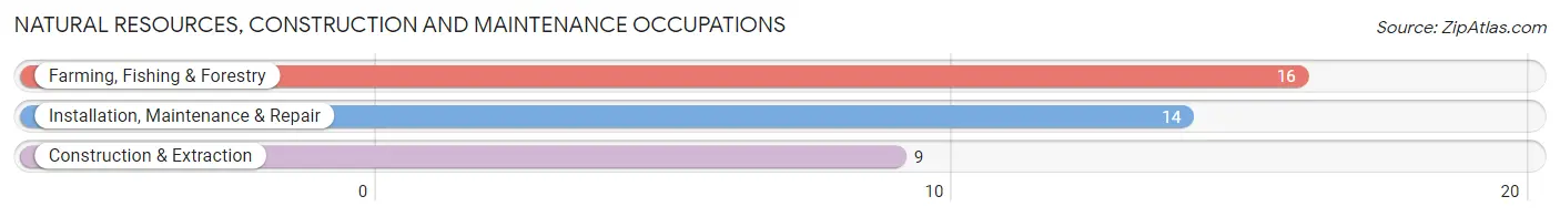 Natural Resources, Construction and Maintenance Occupations in Zip Code 99158