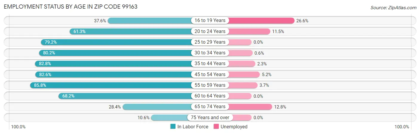 Employment Status by Age in Zip Code 99163