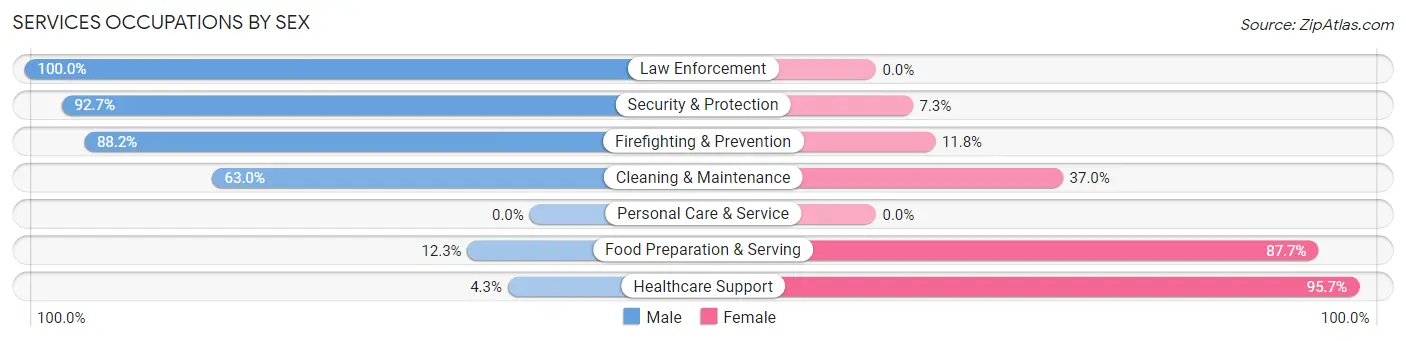 Services Occupations by Sex in Zip Code 99166