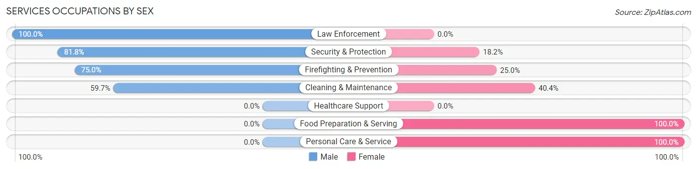 Services Occupations by Sex in Zip Code 99167