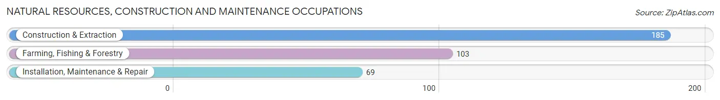 Natural Resources, Construction and Maintenance Occupations in Zip Code 99201