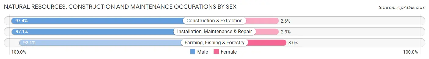 Natural Resources, Construction and Maintenance Occupations by Sex in Zip Code 99216
