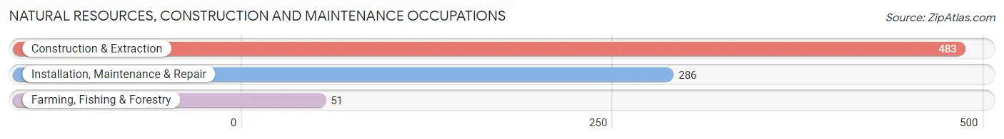 Natural Resources, Construction and Maintenance Occupations in Zip Code 99224