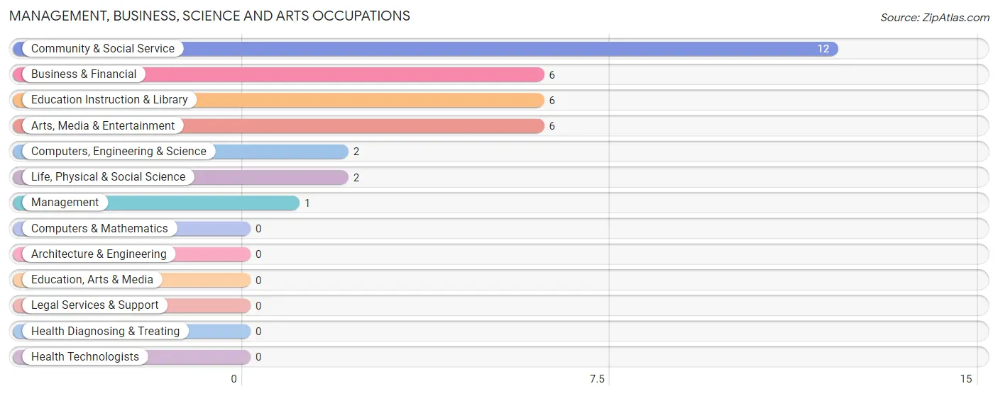 Management, Business, Science and Arts Occupations in Zip Code 99335